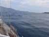 wetar_0006