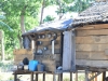 wetar_0036