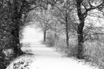 winter2017_so_far_012