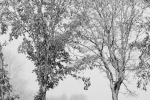 winter2017_so_far_013