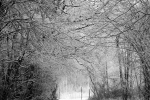 winter2017_so_far_014