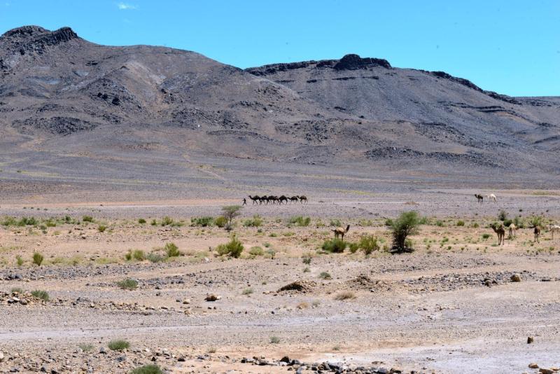 merzouga_zagora_0012