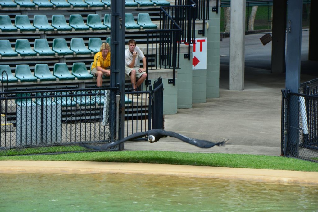 AUSTRALIA ZOO