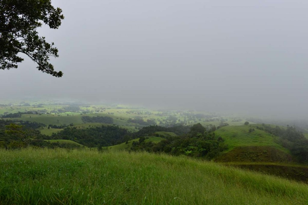 australia_millaa_millaa_0011