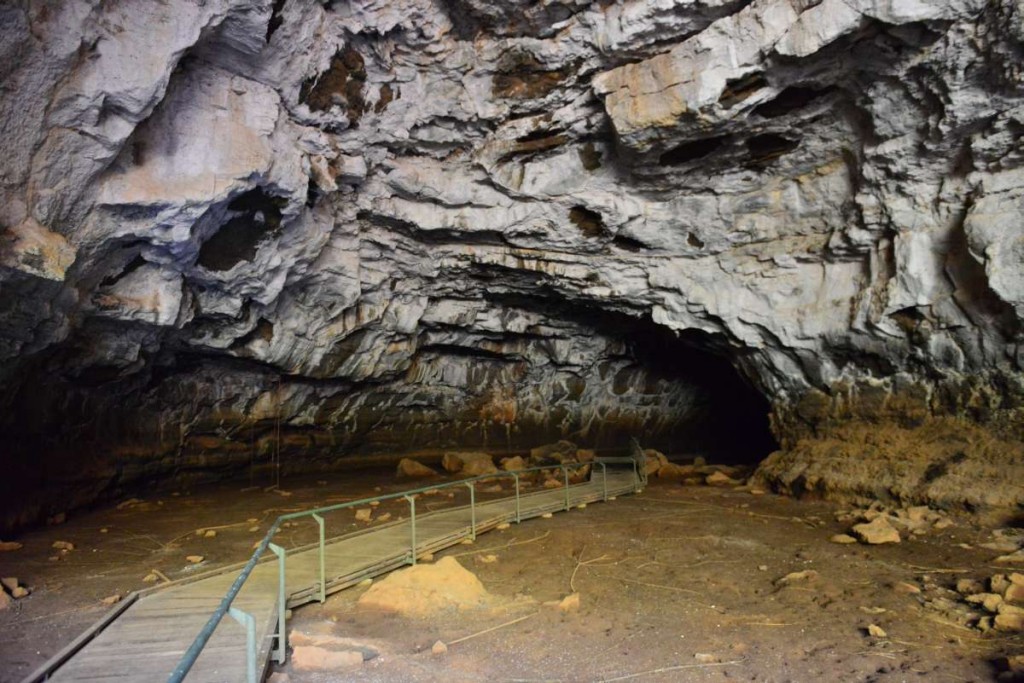 australia_undara_0051