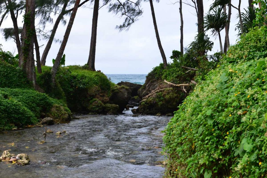 efate_island_tour_0021