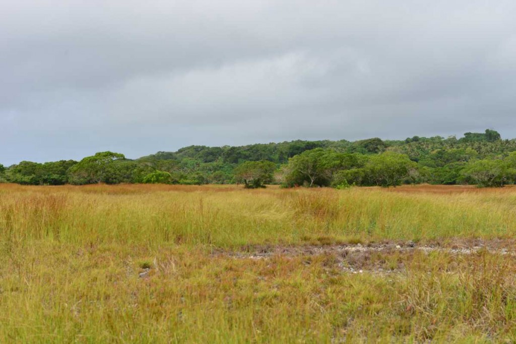 efate_island_tour_0026