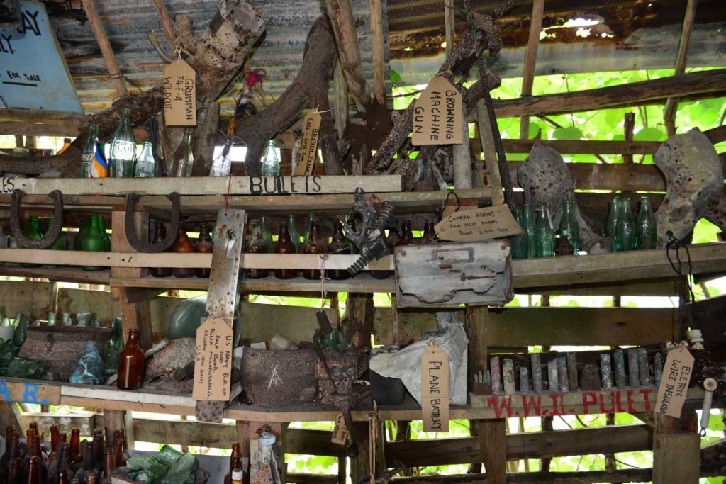 efate_island_tour_0036