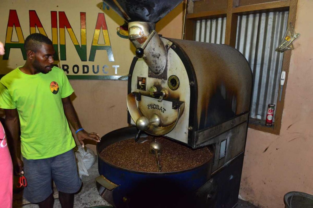 efate_island_tour_0046