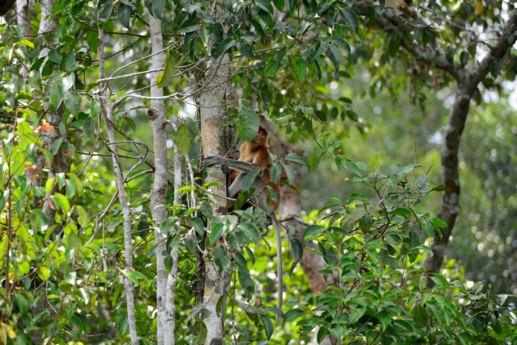 indonesia_abc_0021